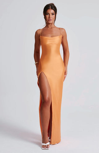Misha Maxi Dress - Tangerine - glavon
